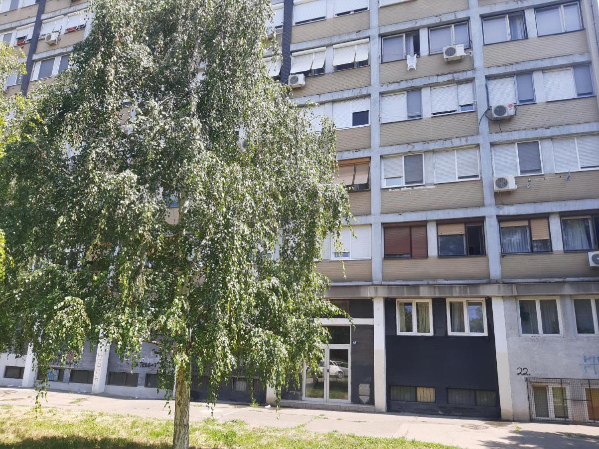 Blue Danube Apartment Belgrade Exterior photo